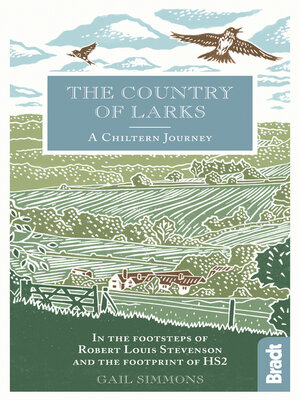 cover image of Country of Larks